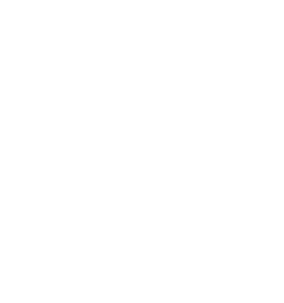 Smart Path Logo